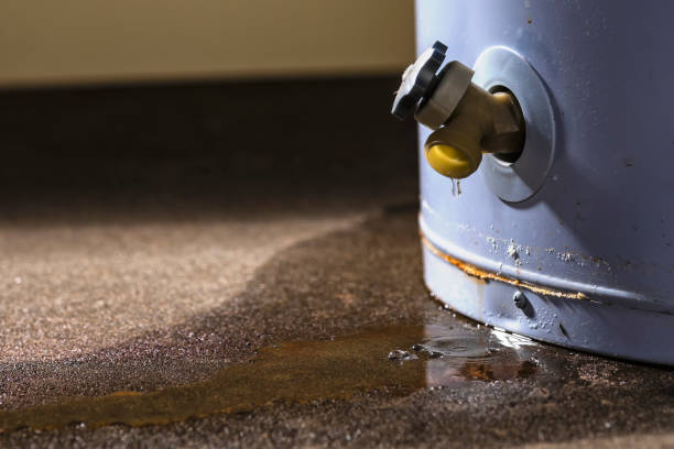 Best 24/7 water damage repair  in La Follette, TN