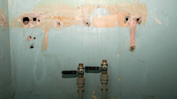 Best Water damage restoration near me  in La Follette, TN